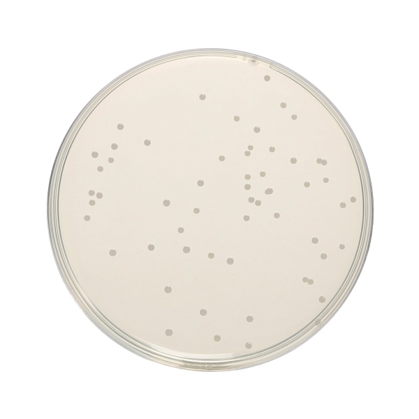 HiEncapâ„¢ Nutrient Agar