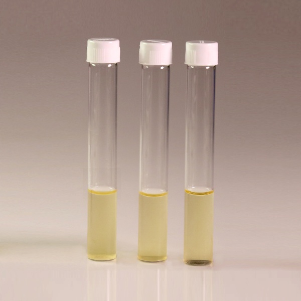 HiEncapâ„¢ Luria Bertani Broth, Miller (HiEncapâ„¢ Miller Luria Bertani Broth)