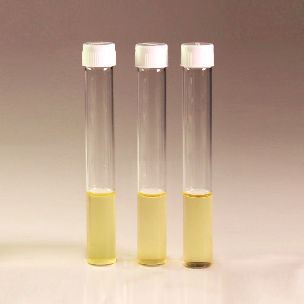 HiEncapâ„¢ Luria Bertani Broth, Miller (HiEncapâ„¢ Miller Luria Bertani Broth)