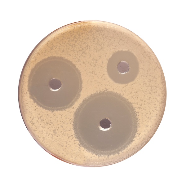 Antibiotic Assay Medium No.11, Granulated (Neomycin, Erythromycin Assay Agar, Granulated) (Erythromycin Seed Agar, Granulated) 500G