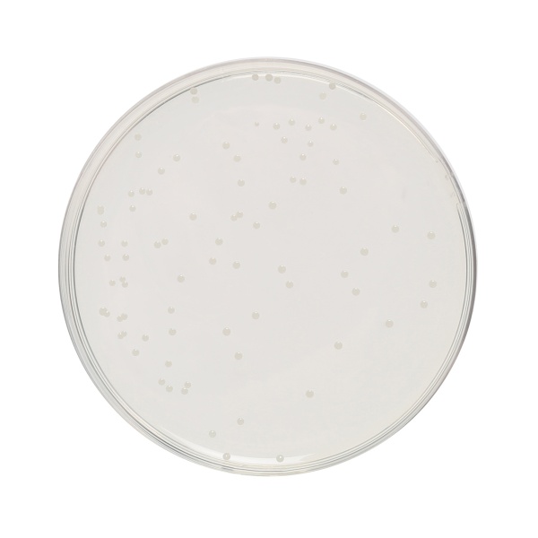 Tryptone Glucose Extract Agar, Granulated (Tryptone Glucose Yeast Extract Agar, Granulated) 500G