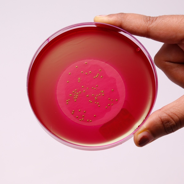 M-Endo Agar LES, Granulated 500G