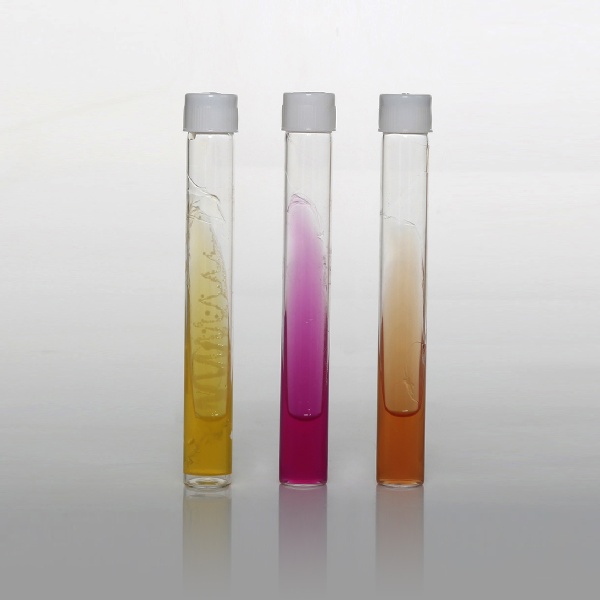 Urea Agar Base, Granulated (Filter Sterilizable) (w/o Agar)