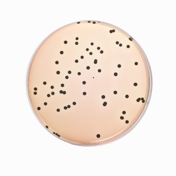 Leifson Agar, Granulated 500G