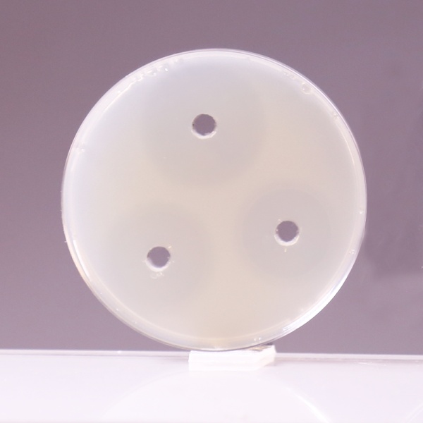 Antimicrobial Inhibitor Test Agar pH 7.2, Granulated 500G