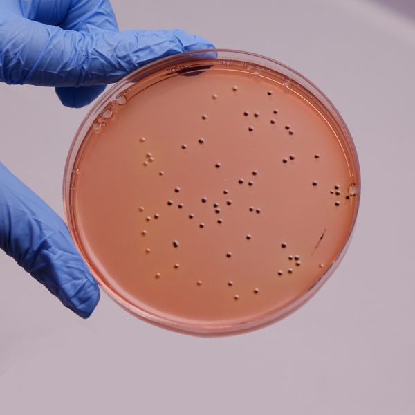 Sakazakii DHL Agar, Granulated 500G