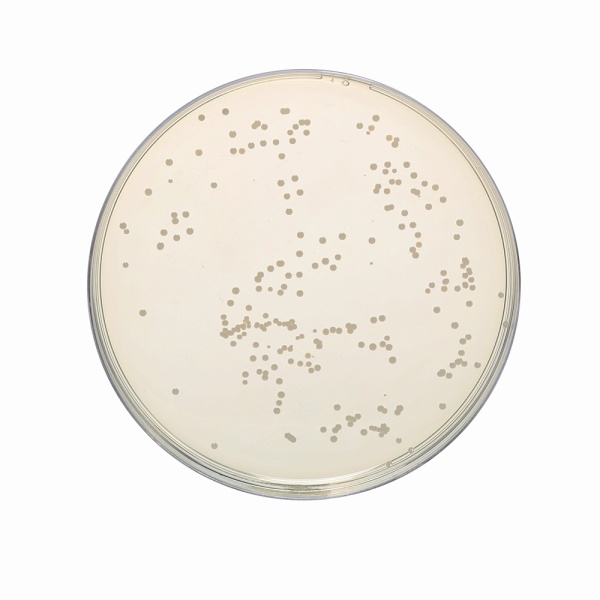 SM Plate Count Agar, Granulated 500G