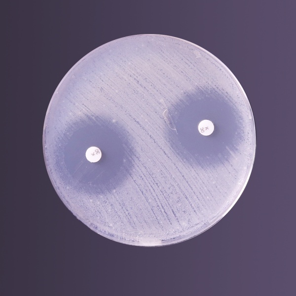 Antimicrobial Inhibitor Test Agar pH 6.0, Granulated 500G