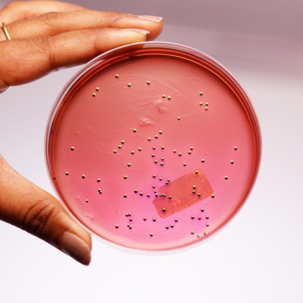 EMB Agar, Granulated 500G