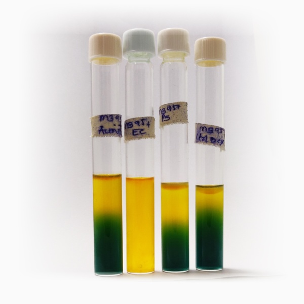 OF Basal Medium, Granulated 500G
