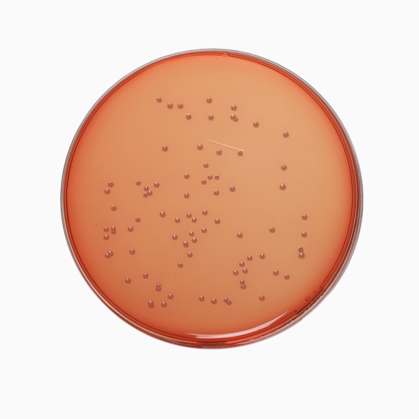 Nutrient Agar, pH 7.0, Granulated 500G