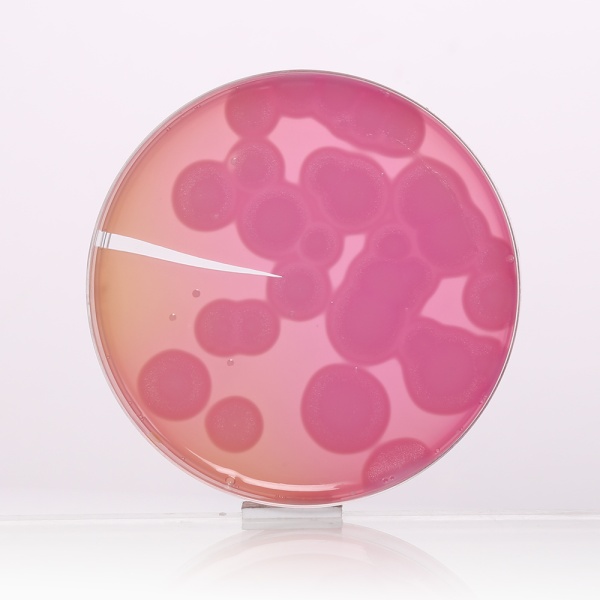 MYP Agar Base, Granulated (Phenol Red Egg Yolk Polymyxin Agar Base, Granulated) 500G