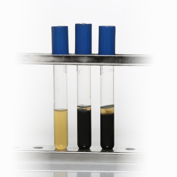 Iron Sulphite Agar, Granulated 500G
