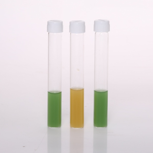 Mueller Kauffman Tetrathionate Broth Base, Granulated 500G