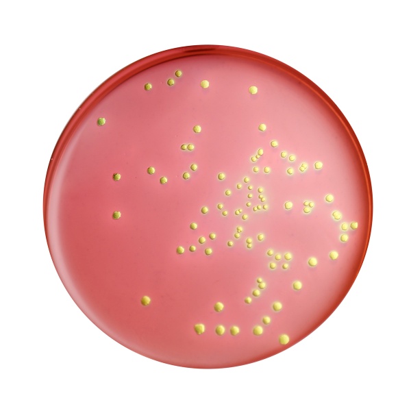 EMB Agar Base 100G